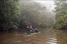 Ecuador-Amazon-Canoeing Adventure in the Cuyabeno Wildlife Reserve